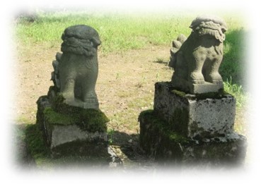 長岡市大口　於保久知神社の大欅3