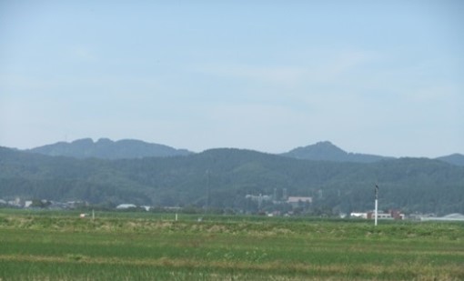 三島郡出雲崎町・小木ノ城のケヤキ群2